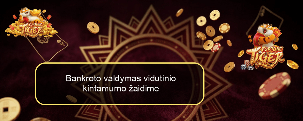 Bankroto valdymas vidutinio kintamumo žaidime
